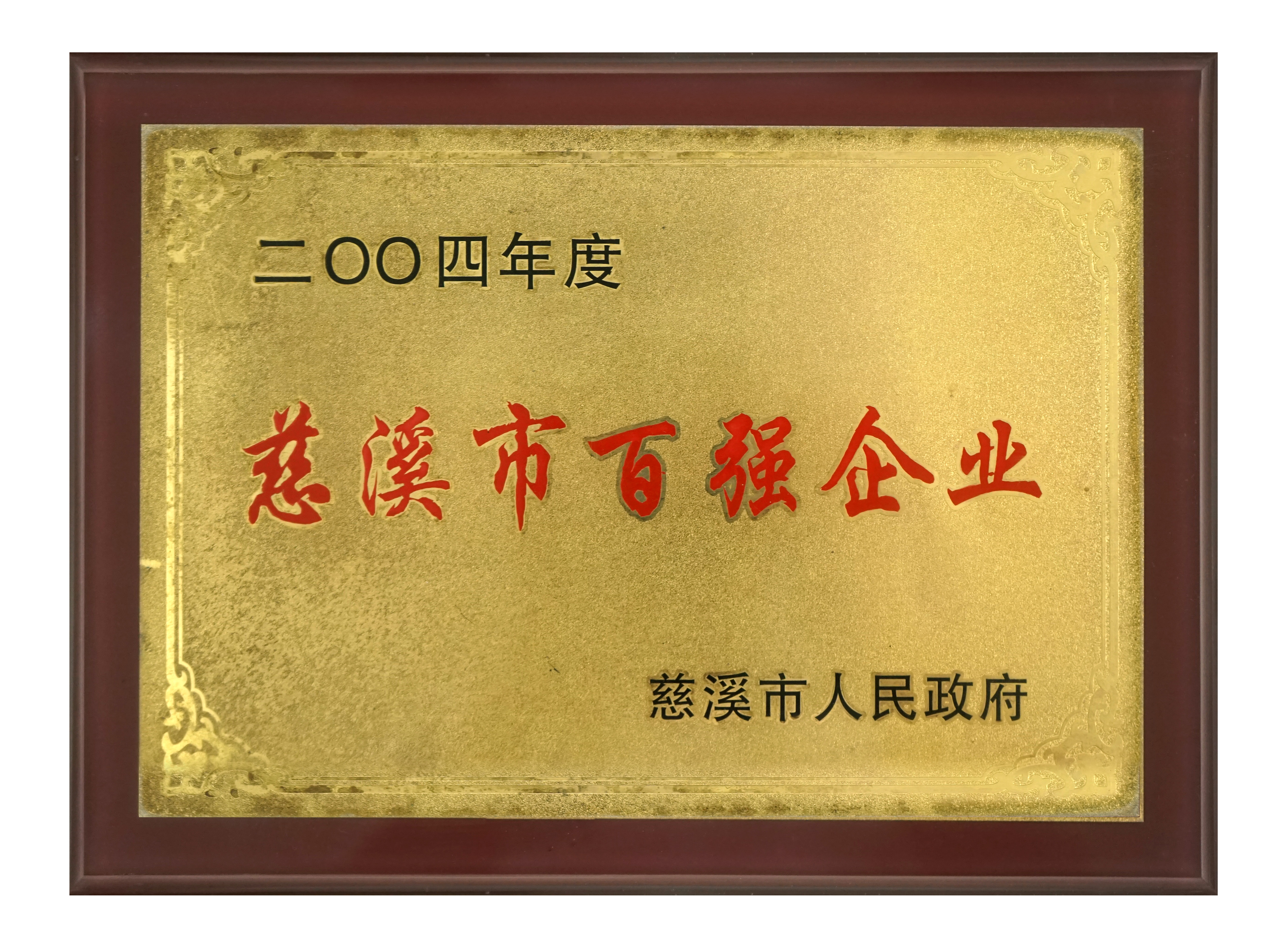 百強企（qǐ）業2004