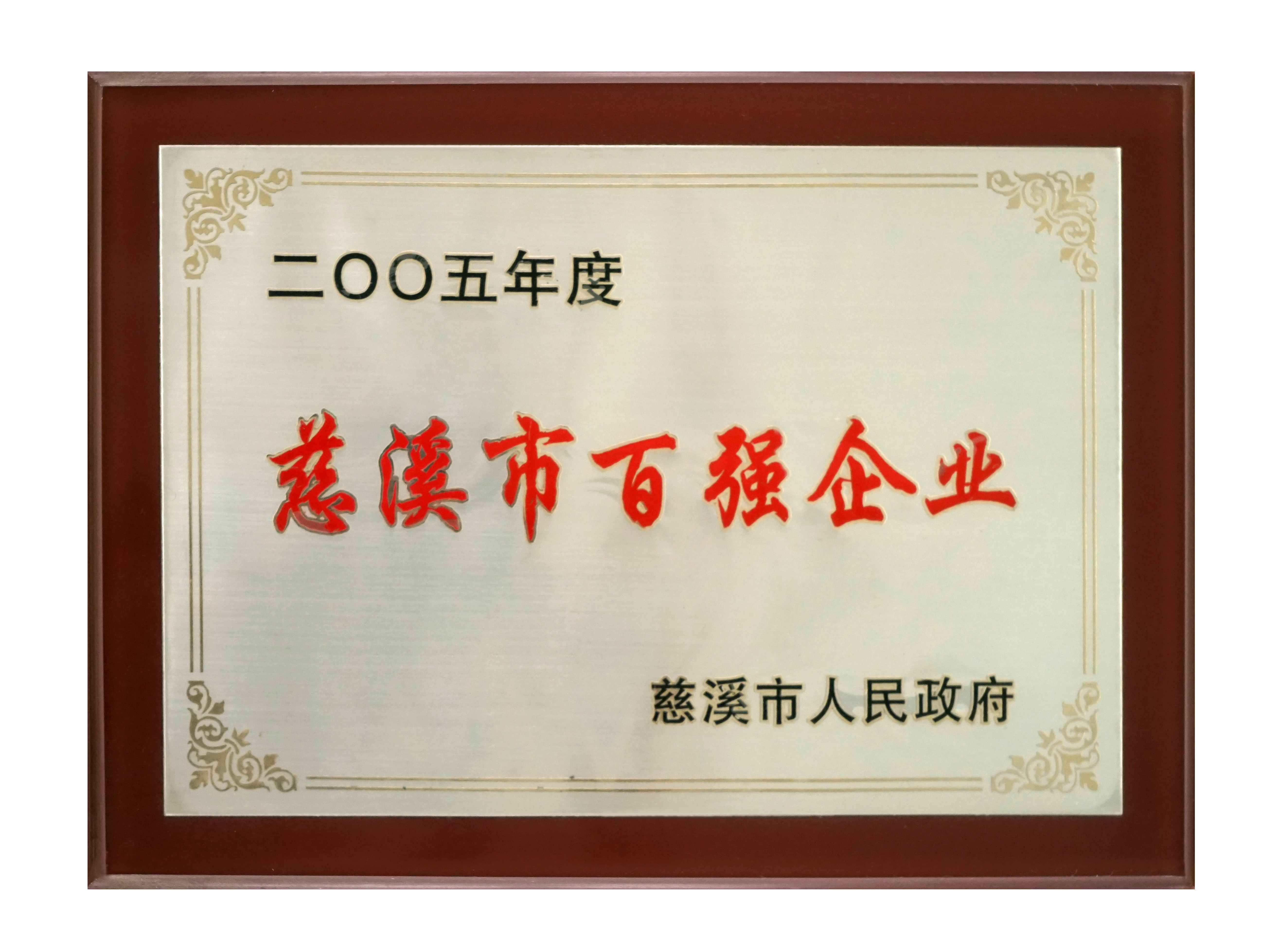 百強企業（yè）2005