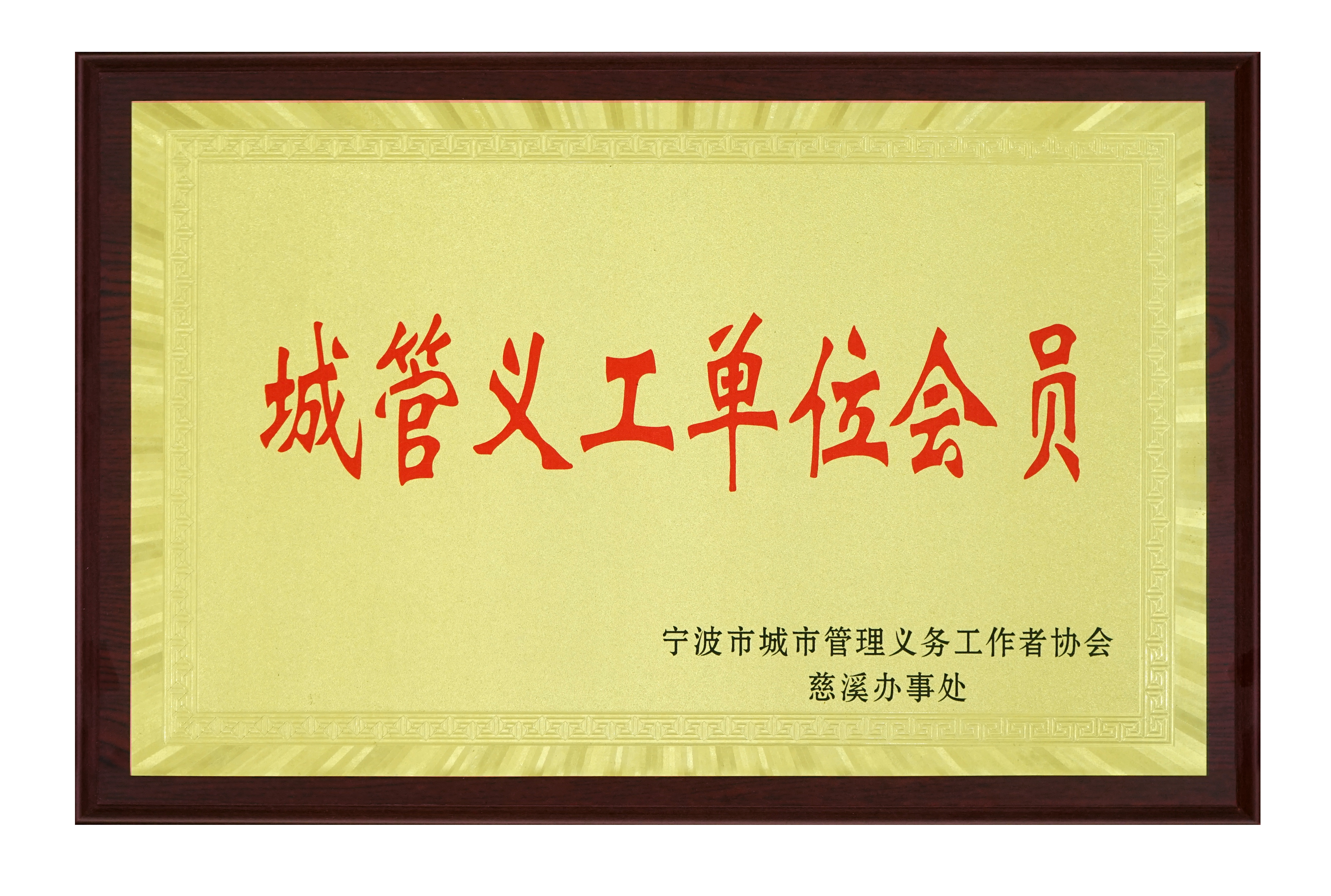 城管義工單（dān）位會員