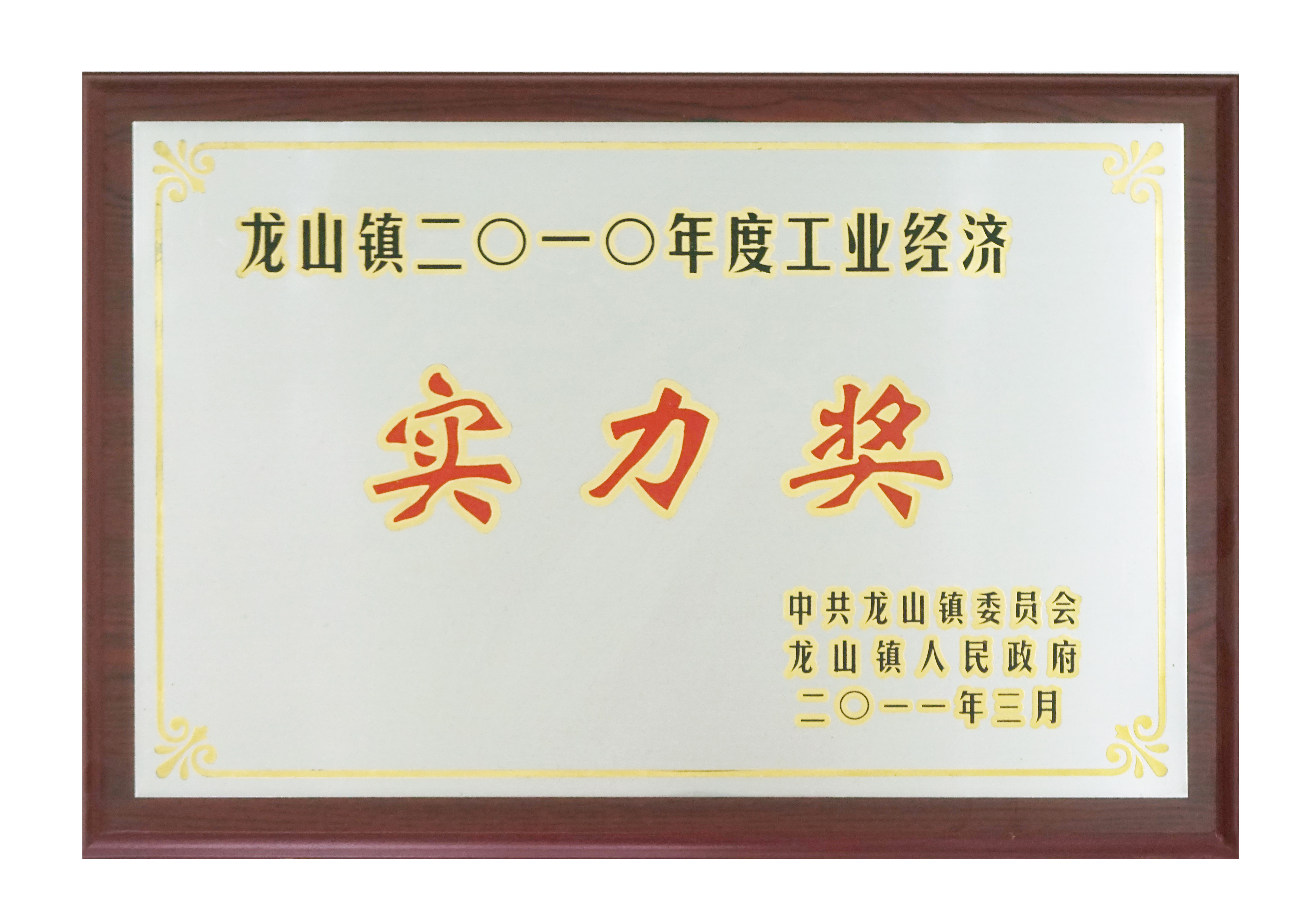 實（shí）力獎2010