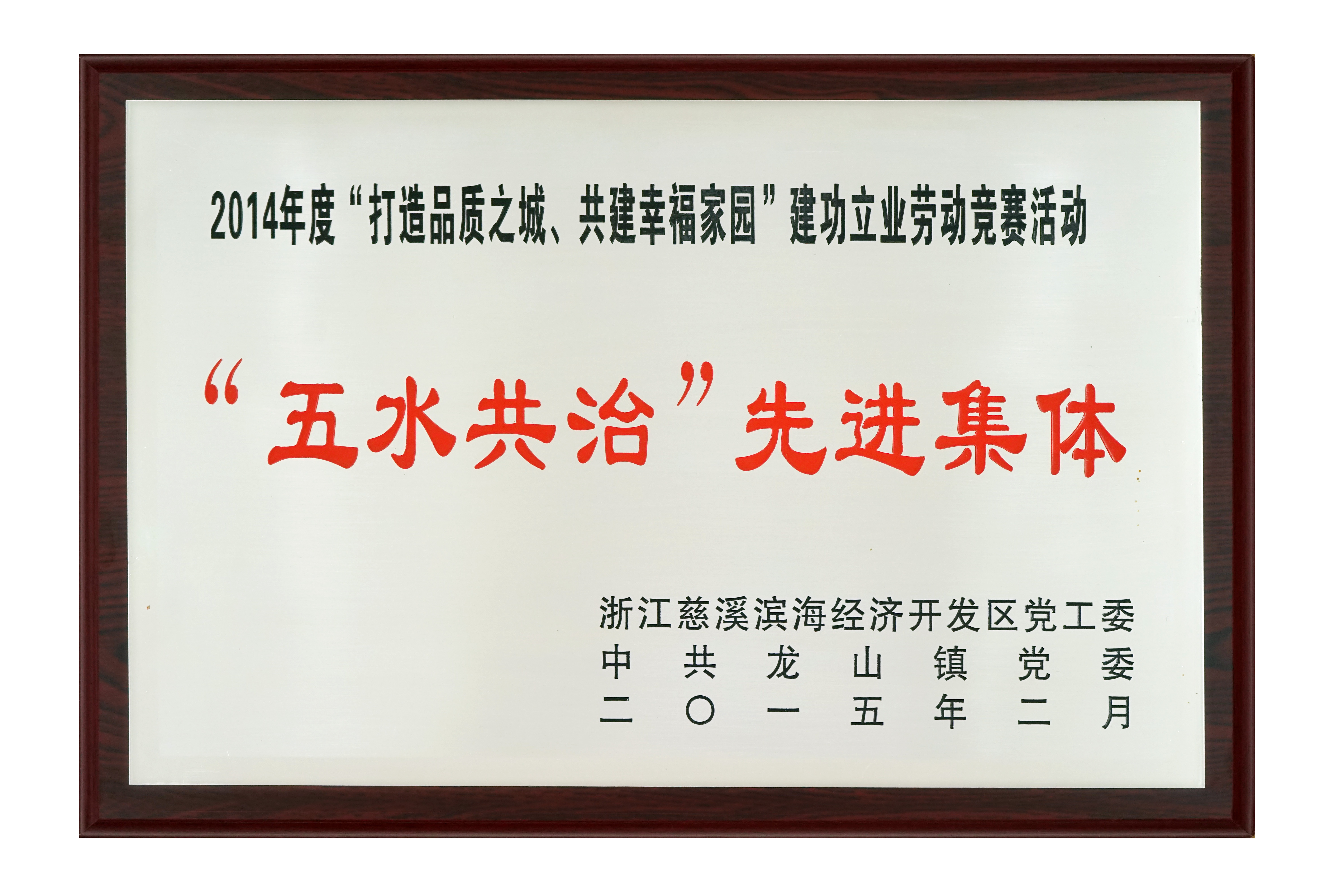 五水共治 先進集體2015